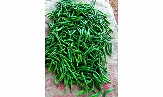 Green Chilli
