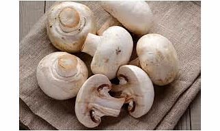 mushroom