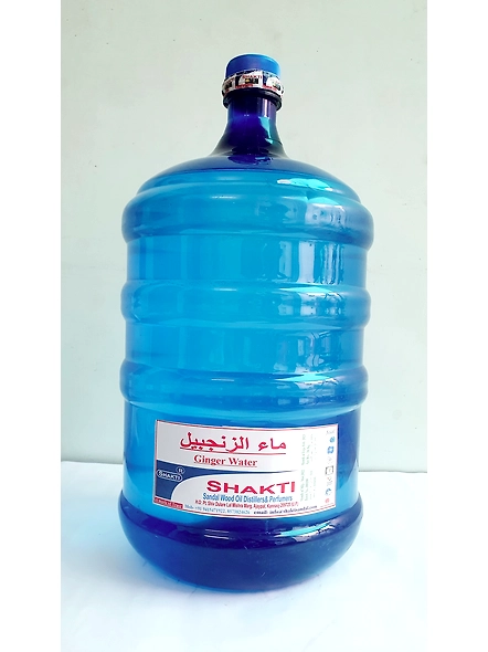 Ginger Water-12545920