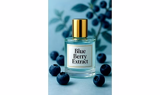 Shakti Blue Berry Extract – Wholesale Loaded with antioxidants that protect for Global B2B Buyers