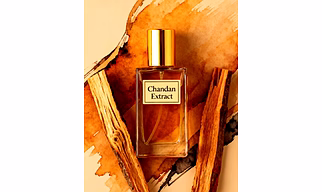 Shakti Chandan Extract – Wholesale Derived from pure sandalwood and for Global B2B Buyers