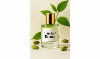 Shakti Ilaichee Extract – Wholesale Ilaichee extract (cardamom extract) offers for Global B2B Buyers