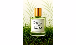 Shakti Doorva Grass Extract – Wholesale Doorva grass extract has purifying for Global B2B Buyers
