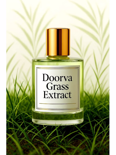 Shakti Doorva Grass Extract – Wholesale Doorva grass extract has purifying for Global B2B Buyers-1033-5kg