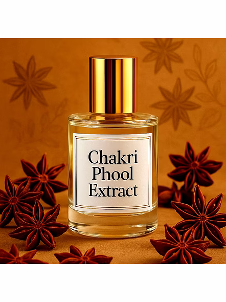 Shakti Chakri Phool Extract – Wholesale Chakri phool extract (star anise for Global B2B Buyers-1074-5kg