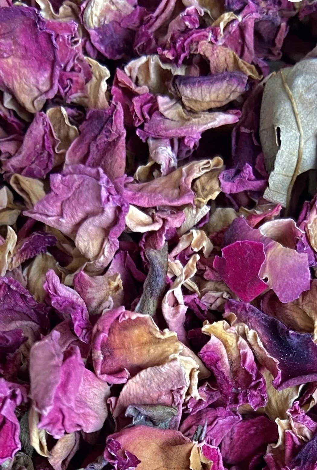 Indian Dry Rose Petal-2