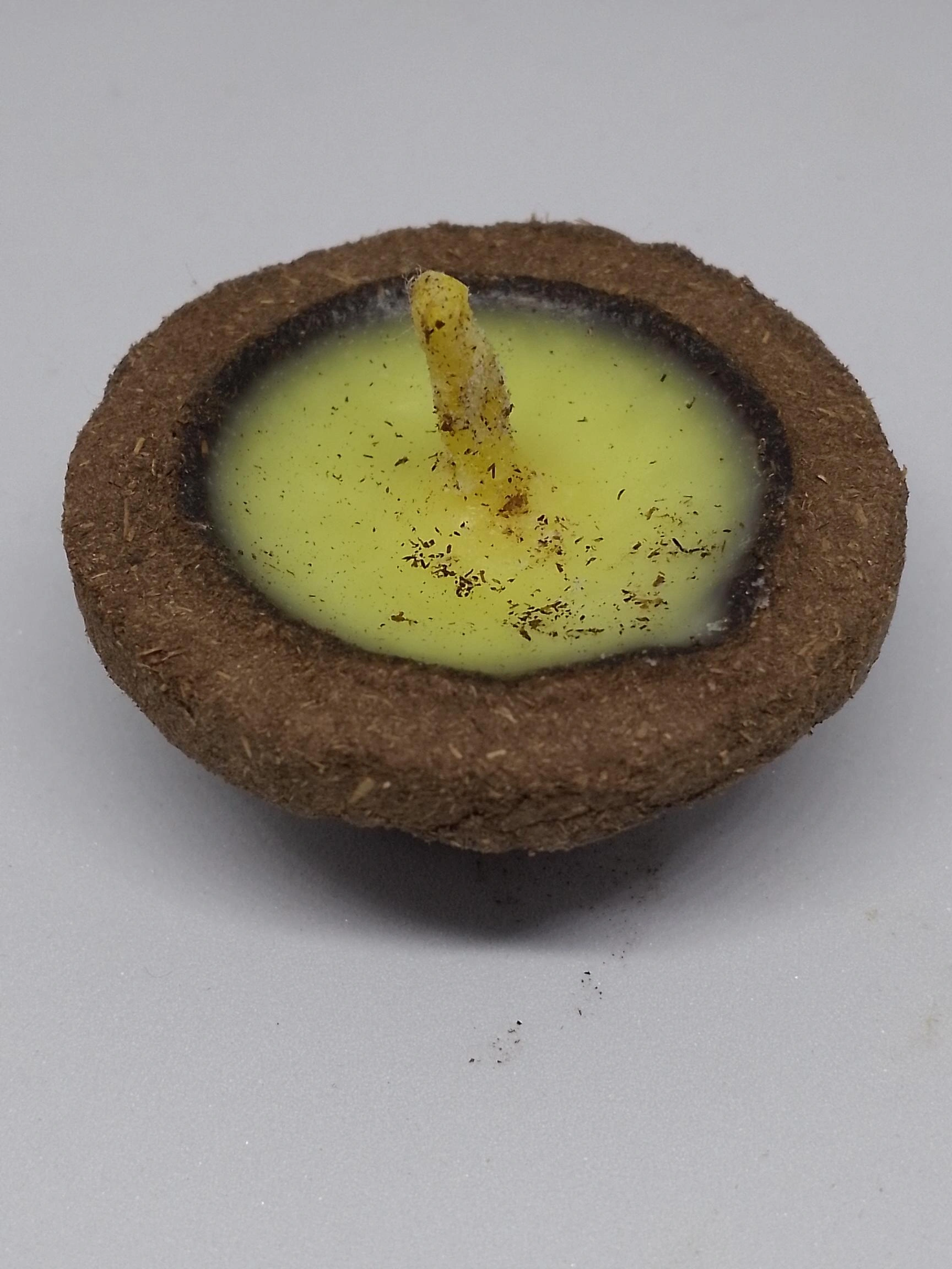 Panchgavvya  Diya (Cow Dung &amp; Camphor)-1