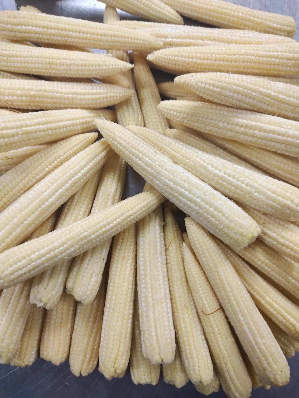 Baby corn-1