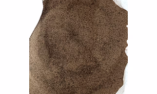 Rice DDGS (dried distilled grain solubles)