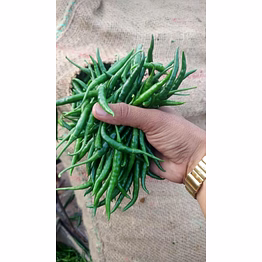 g4 variety green chillies