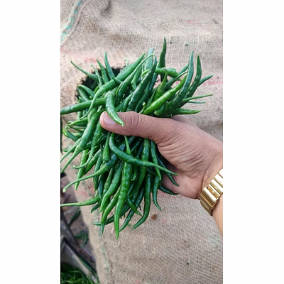 g4 variety green chillies