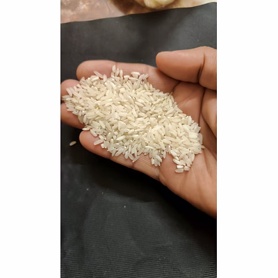ir 64 rice