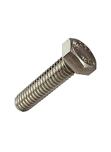 Stainless Steel Bolt