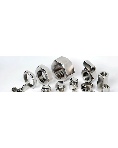 Stainless Steel Nut-1