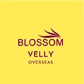 Bloosamvelly overseas-logo