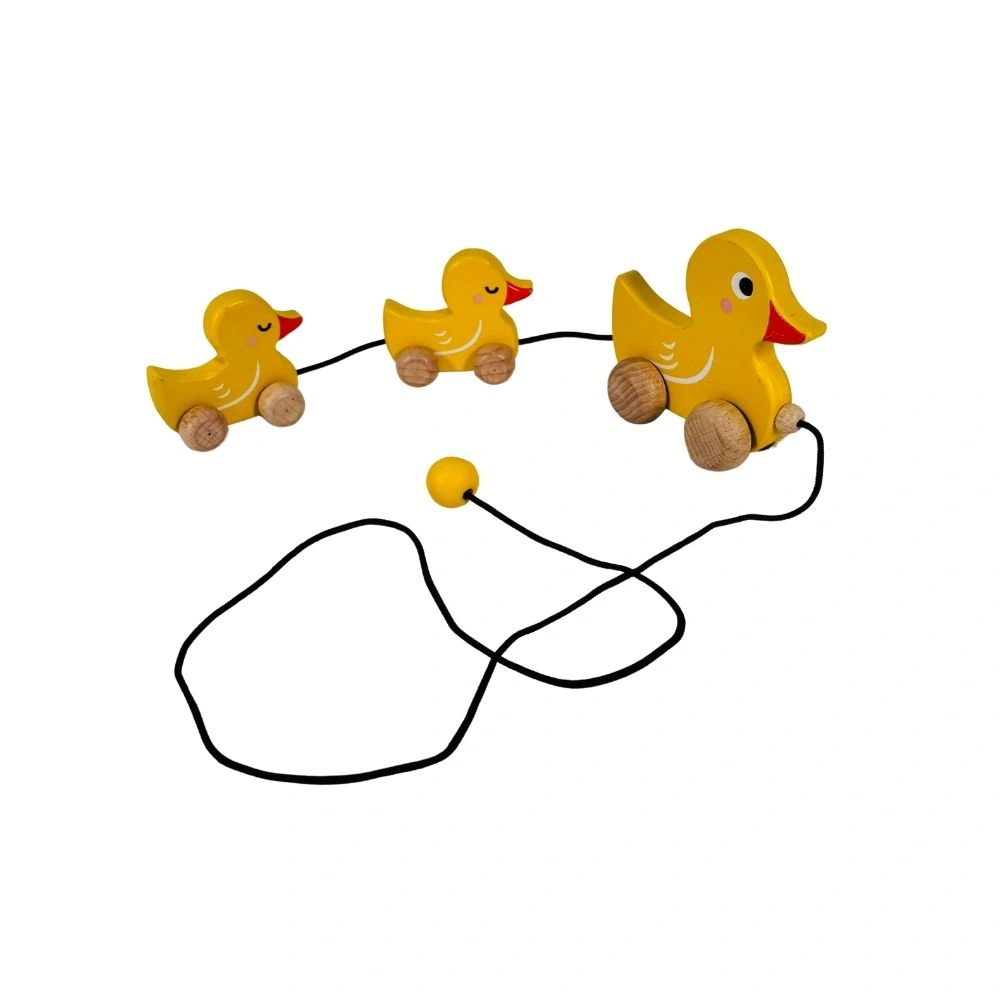 Wooden Push and Pull Toy - Duck family-1