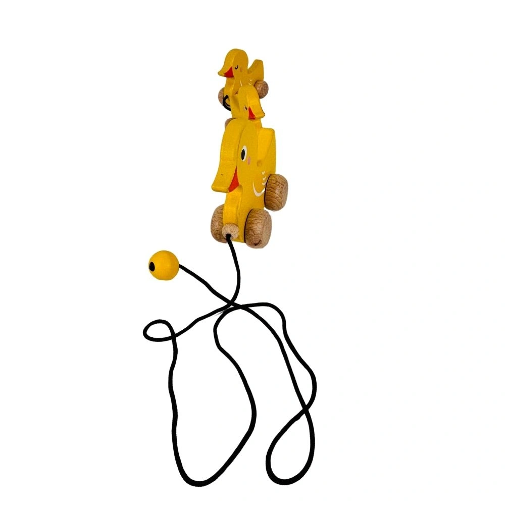 Wooden Push and Pull Toy - Duck family-2