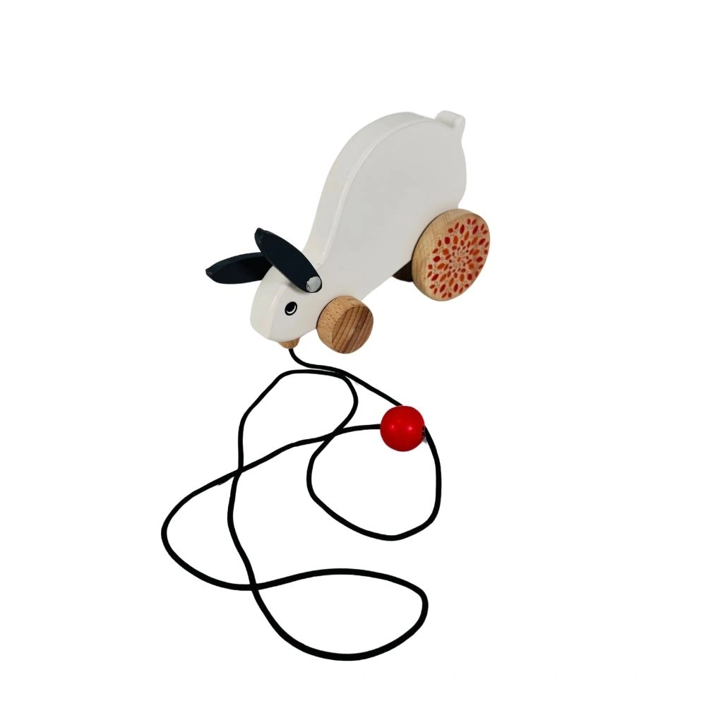 Wooden Push and Pull Toy - Rabbit-4