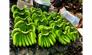 Bananas