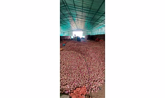 Onions