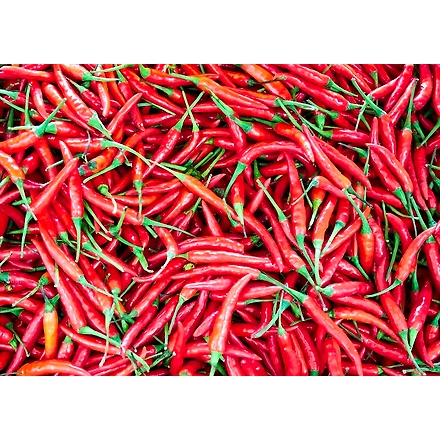 Red Chili Powder-3