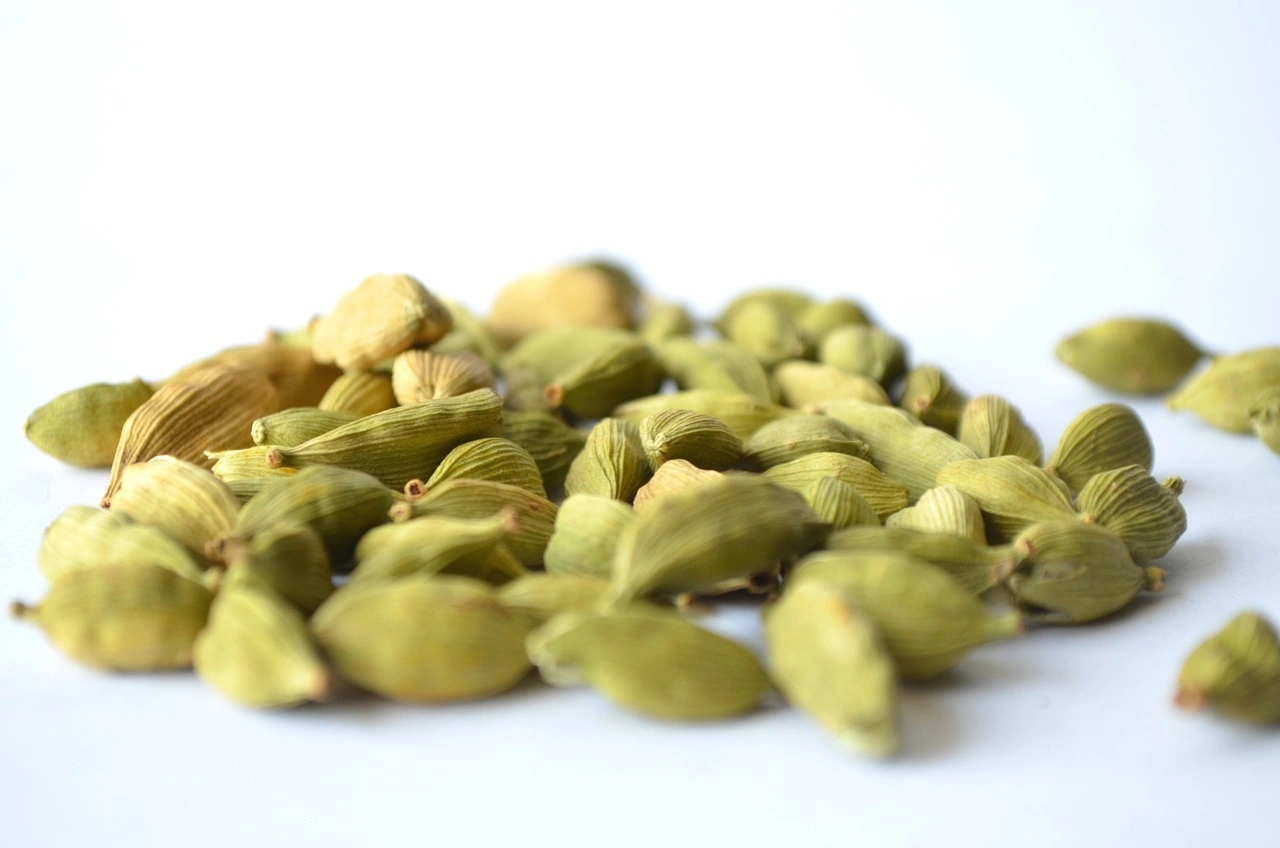 Green Cardamom-WLS_36