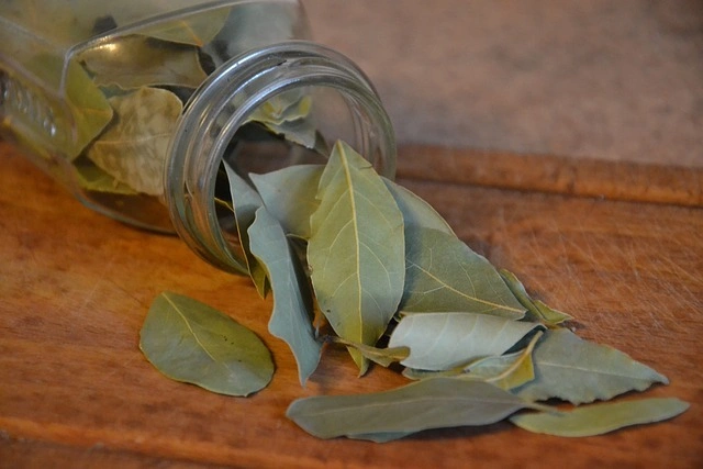 Bay Leaf-1