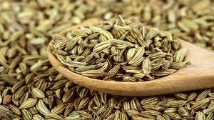 Fennel Seeds-WLS_43