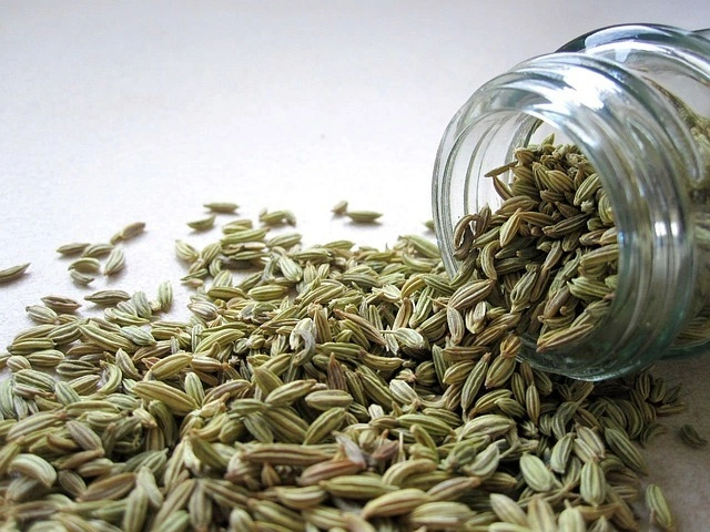 Fennel Seeds-3