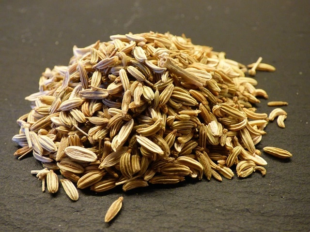 Fennel Seeds-4