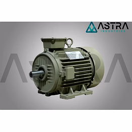 induction motor 1 h.p. 3 phase
