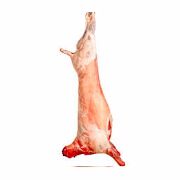 dumpuk meat sheep/lamb/goat