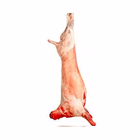 DUMPUK MEAT SHEEP/LAMB/GOAT