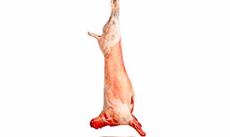DUMPUK MEAT SHEEP/LAMB/GOAT