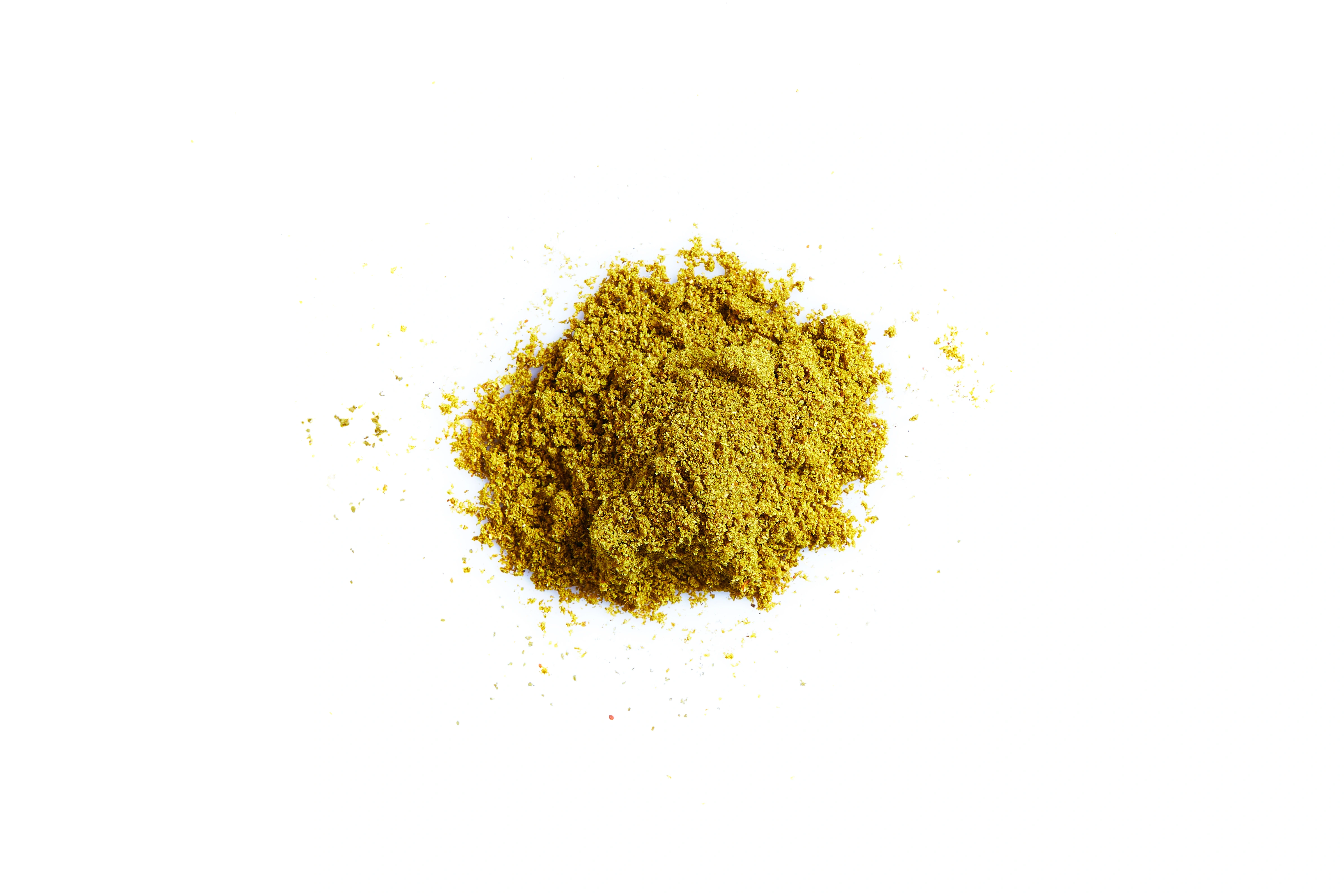 VEDIC CORIANDER POWDER-12545468