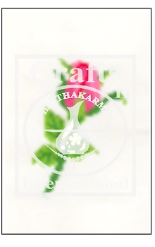 Rose Bud Cross Stitch Kit for Children