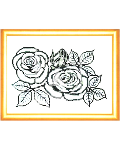 Roses Sketched Cross Stitch Kit-4