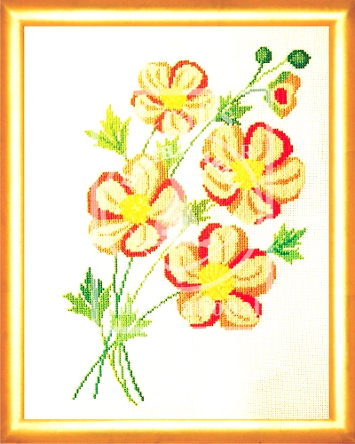 Orange Butter Cup Cross Stitch Kit-4