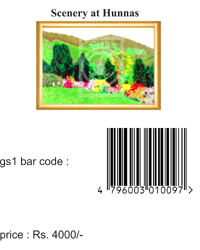 Hunnas Cross Stitch Kit-7