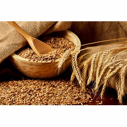 wheat