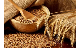 Wheat