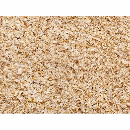 psyllium husk