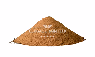 Rice Dried Distillers Grain Solids (DDGS)