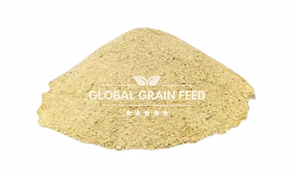 Rice Gluten Meal