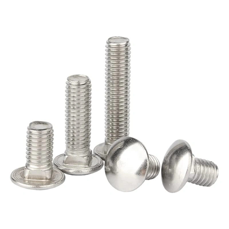 Din 603 Carriage Bolt-2