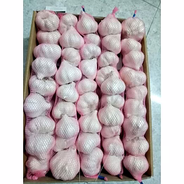 garlic