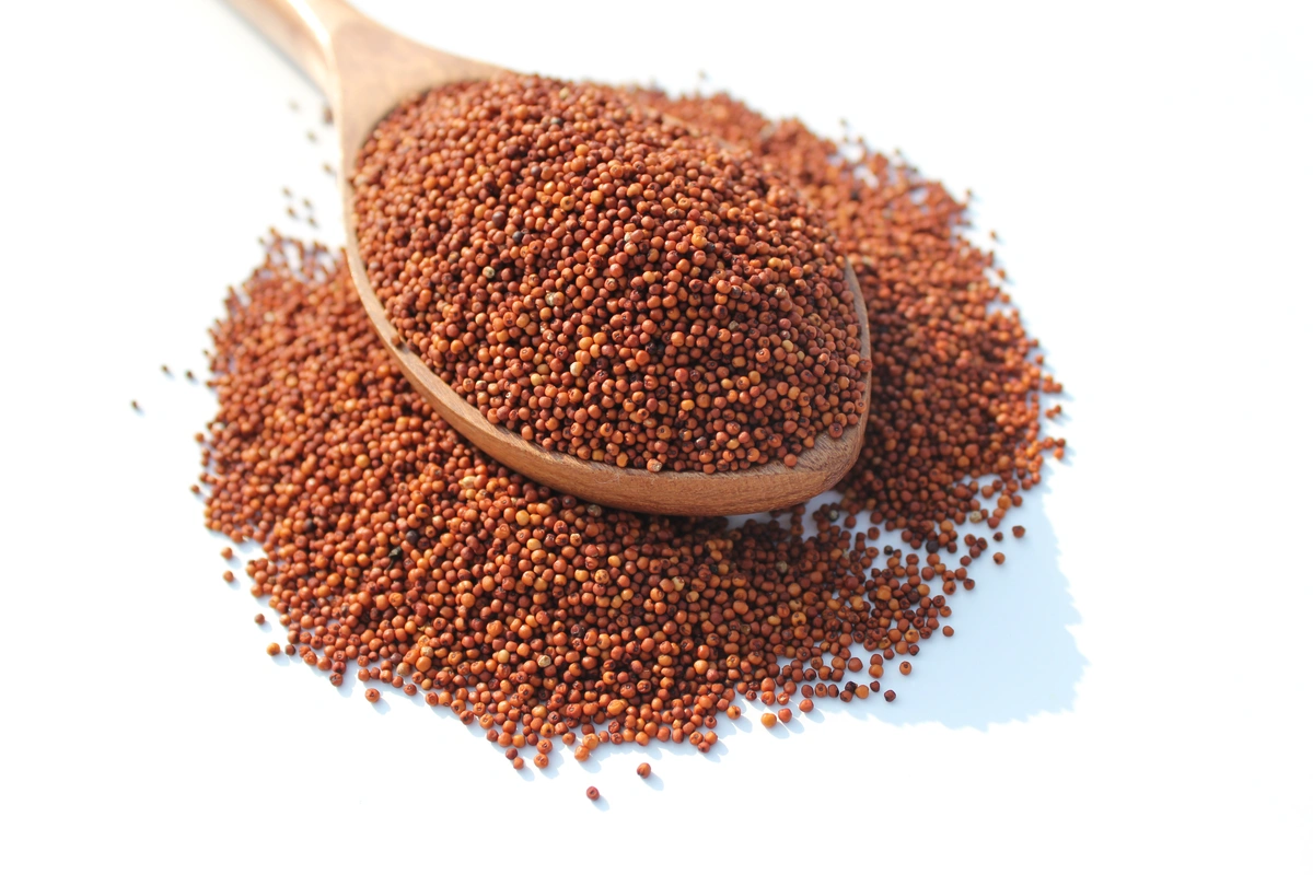 Finger Millet-12600850