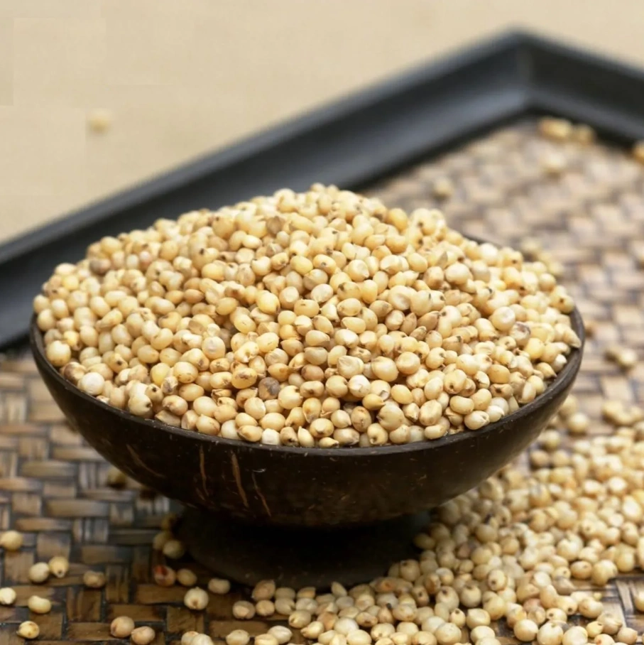 Sorghum Millet-1