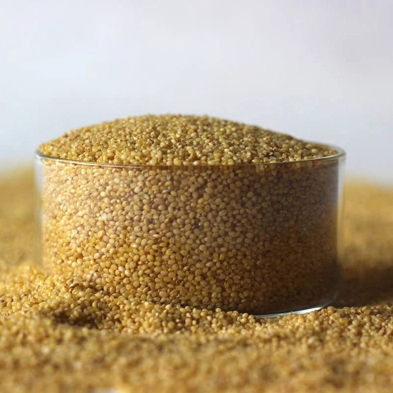 Foxtail Millet-1