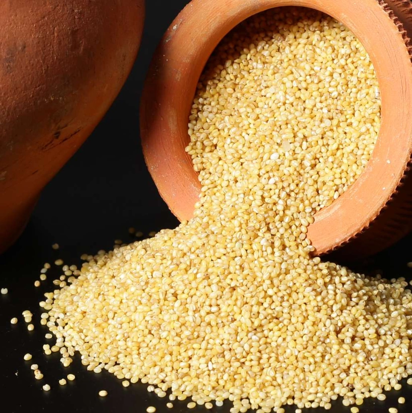 Foxtail Millet-2